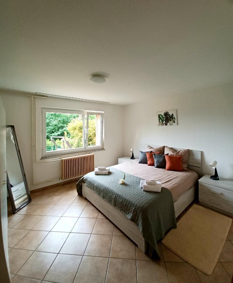 I Vallata Paradise I Free Parking - Garden&View - 10Minutes From Лугано Экстерьер фото