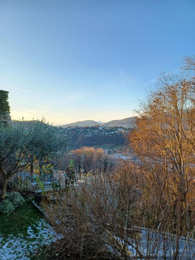 I Vallata Paradise I Free Parking - Garden&View - 10Minutes From Лугано Экстерьер фото