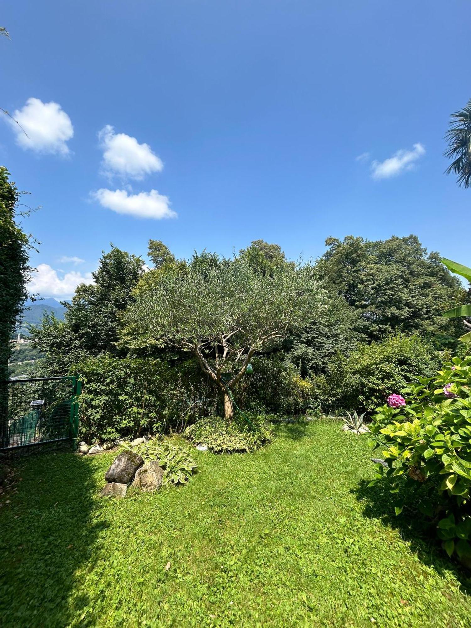 I Vallata Paradise I Free Parking - Garden&View - 10Minutes From Лугано Экстерьер фото